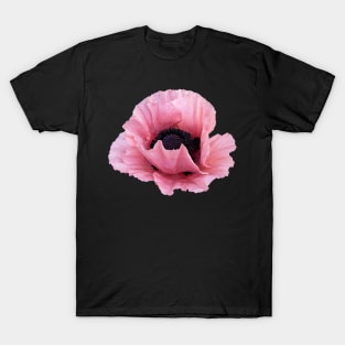 Delicate Pink Poppy T-Shirt